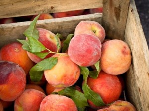 Peaches in crate for Kira Catanzaro